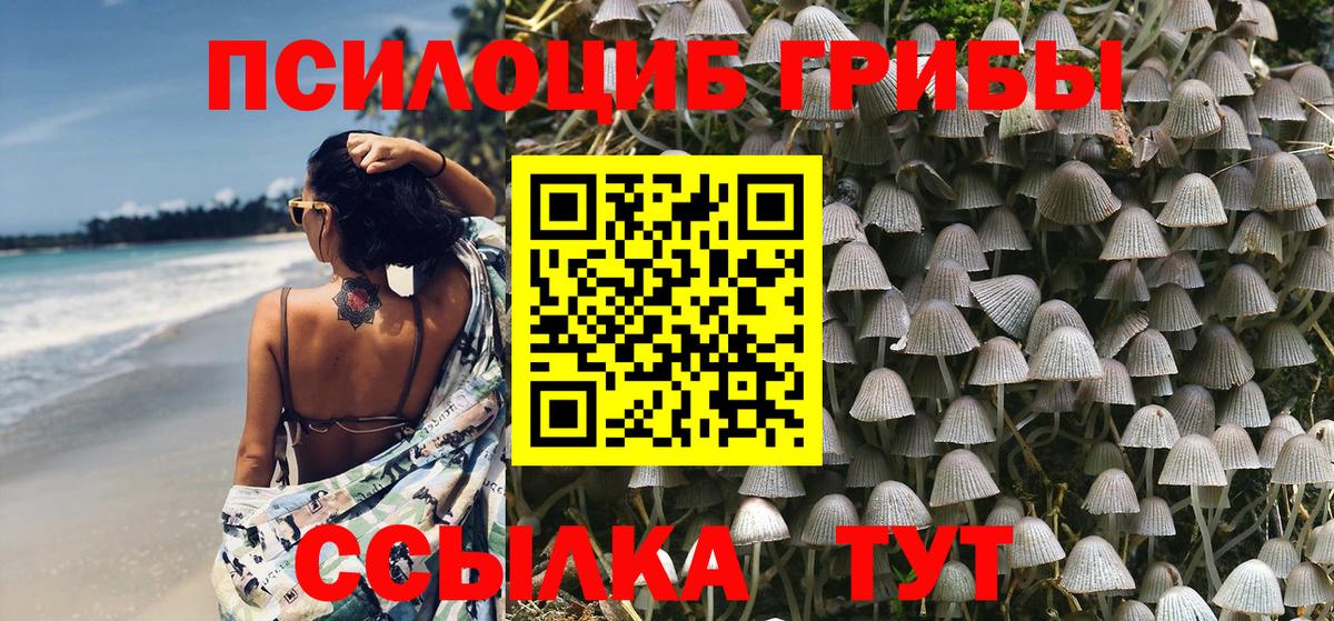 Нижний Тагил  Галлюциногенные грибы Psilocybe  закладки  Вход с VPN 