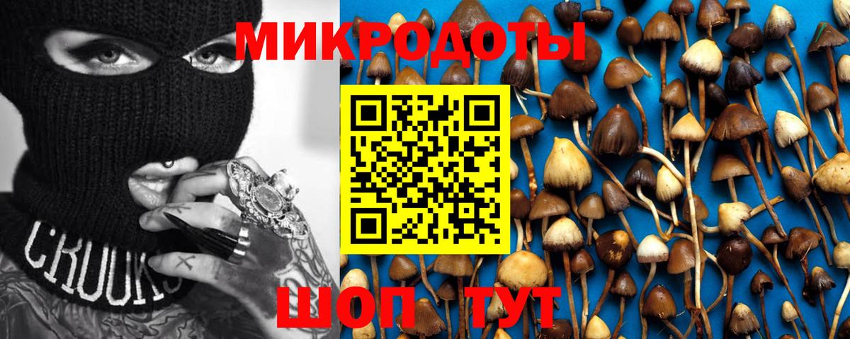 Галлюциногенные грибы Cubensis Нижний Тагил
